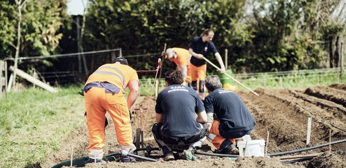 Men working and digging on a field