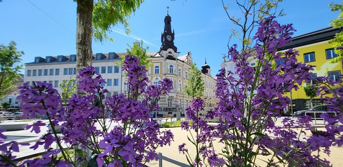 Hauptplatz einer Stadt mit bunten Blumen und Bäumen